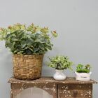 Arranjo De Eucalipto Artificial No Cesto De Fibra | Formosinha